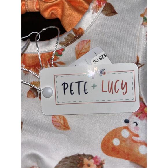 Pete Lucy “Hedgehog HollowSize 12-18M Girls Romper Long Sleeve Soft Comfy - Picture 5 of 6